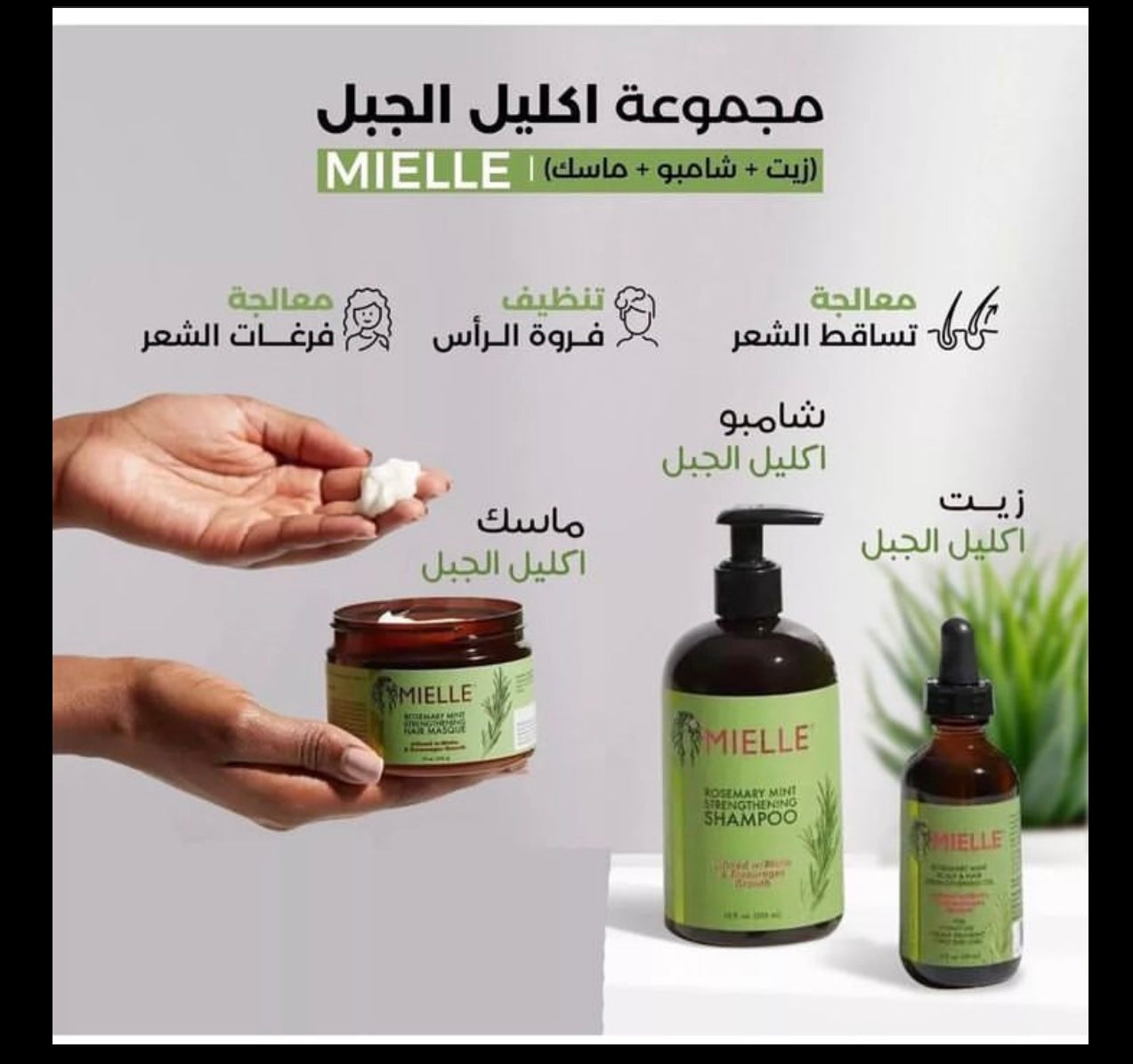 Mielle set