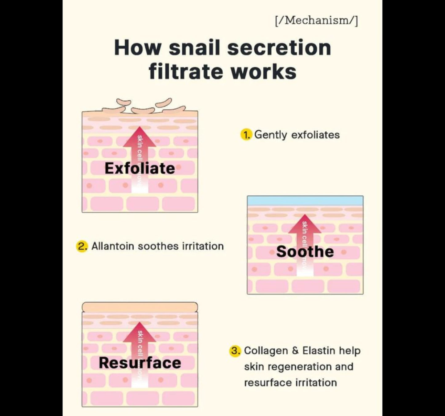 كريم الحلزون من كوز آر اكس