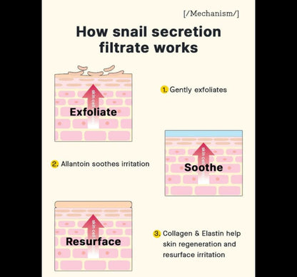 كريم الحلزون من كوز آر اكس