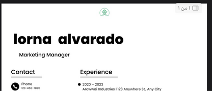 Starter Pack – Professional Job Application