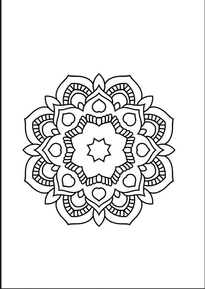 دفتر تلوين الماندالا للكبار – استرخِ وأطلق إبداعك
