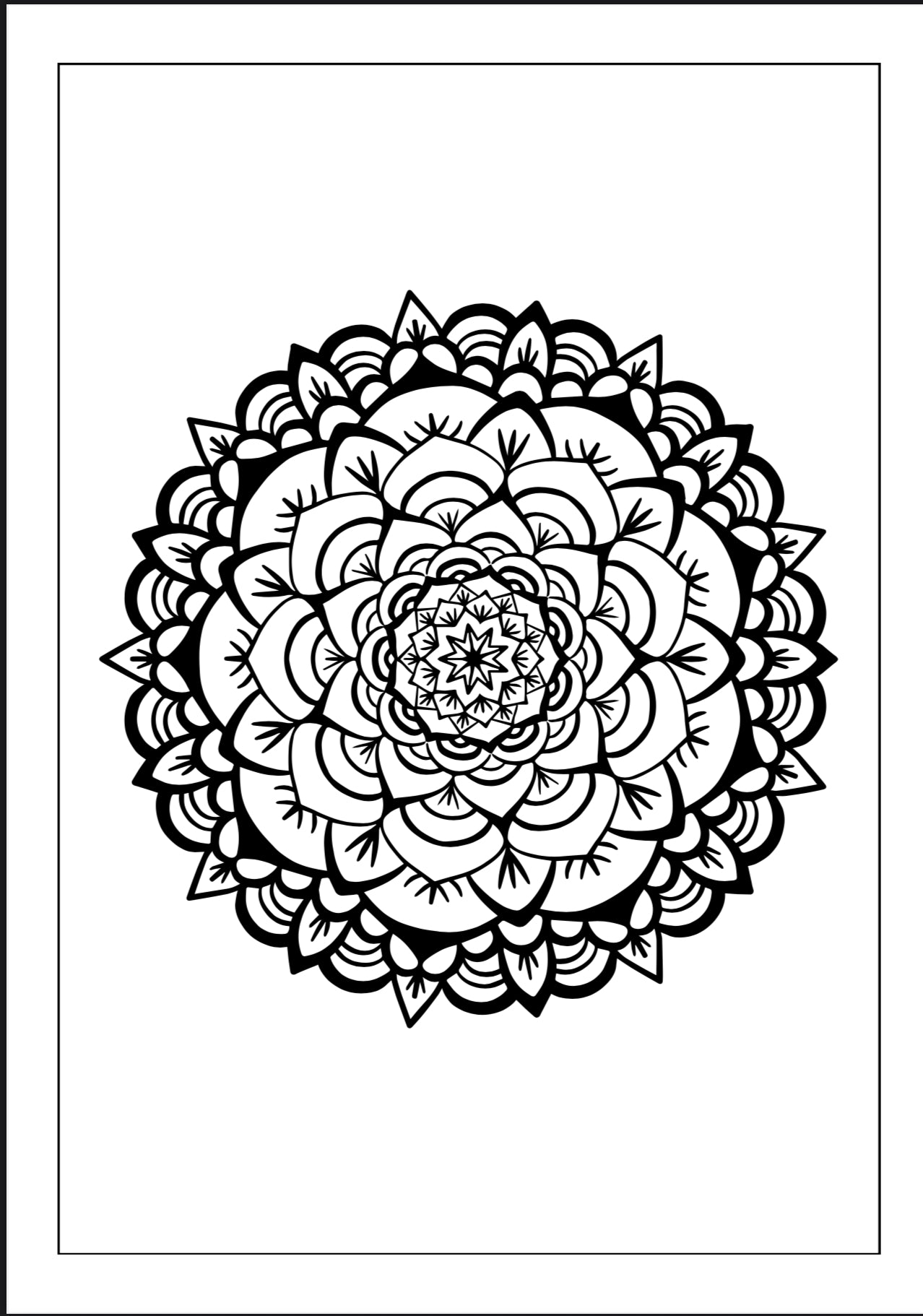 دفتر تلوين الماندالا للكبار – استرخِ وأطلق إبداعك
