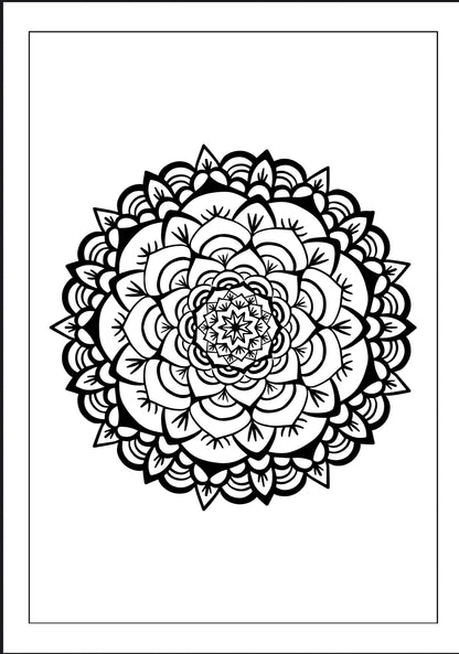 دفتر تلوين الماندالا للكبار – استرخِ وأطلق إبداعك